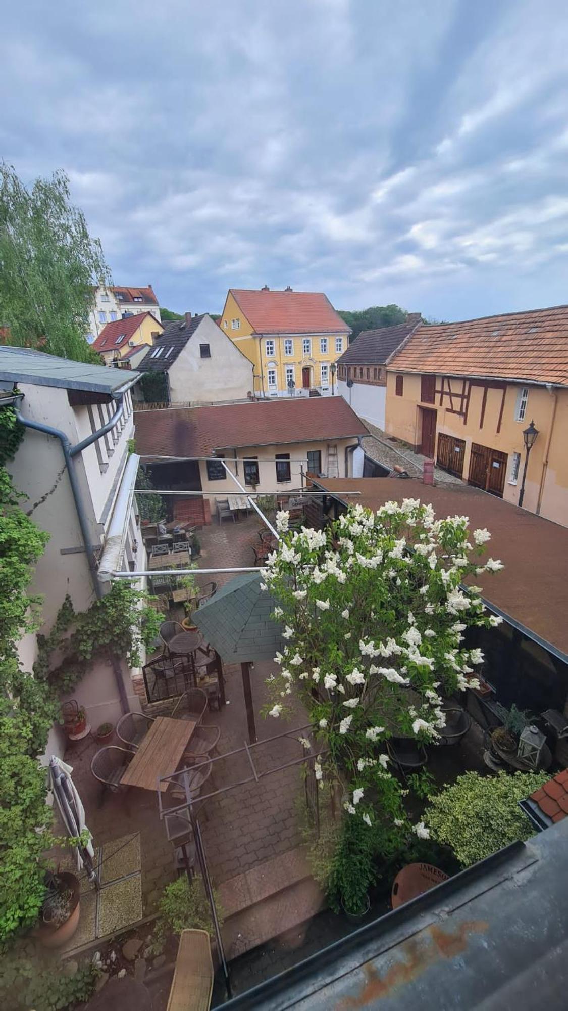 Hotel-Garni "Zum Loewen" Bad Freienwalde Dış mekan fotoğraf